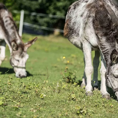 Strasserwirt - Ansitz Zu Tirol
