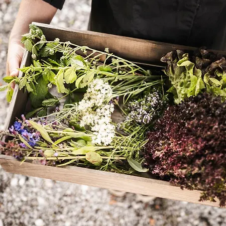 Hotel Strasserwirt - Ansitz Zu Tirol 4*